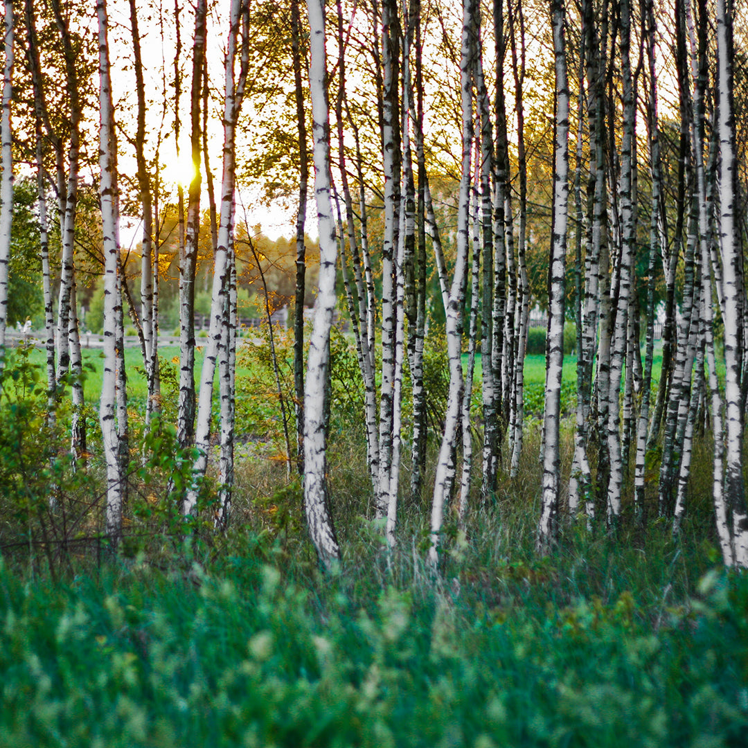 Sustainable Products - Our Materials