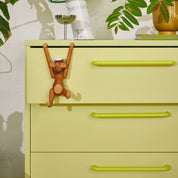 Sprinkles Chest of Drawers - Kiwi Fizz