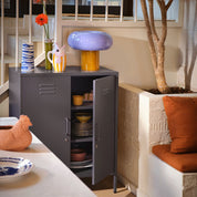 Gray metal cabinet with open door displaying various items in a room with a plant and decorative objects.