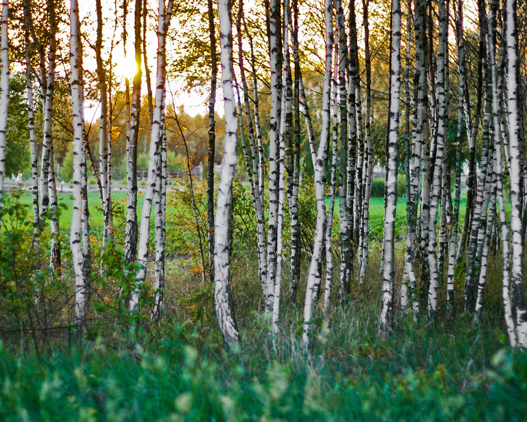 Sustainable Products - Our Materials